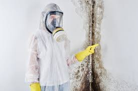 Mold Documentation for Insurance Claims in Chantilly, VA